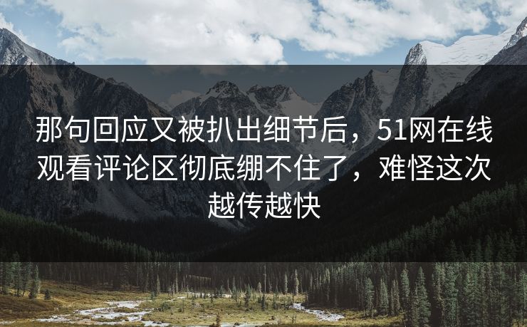 那句回应又被扒出细节后，51网在线观看评论区彻底绷不住了，难怪这次越传越快