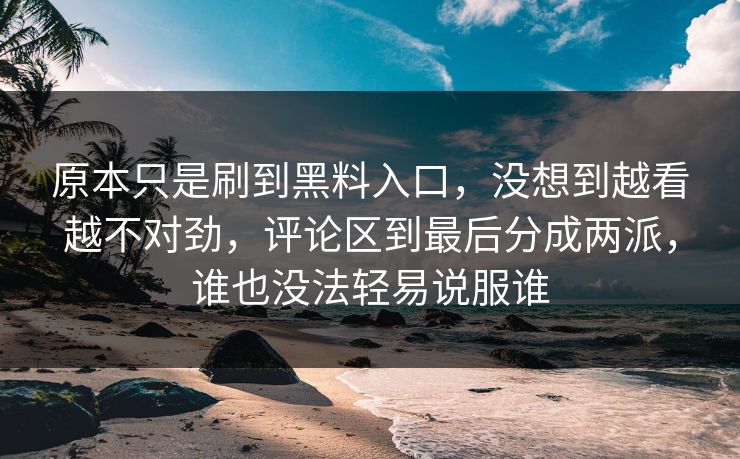 原本只是刷到黑料入口，没想到越看越不对劲，评论区到最后分成两派，谁也没法轻易说服谁