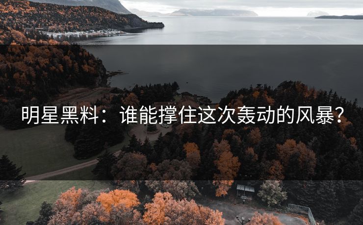 明星黑料：谁能撑住这次轰动的风暴？